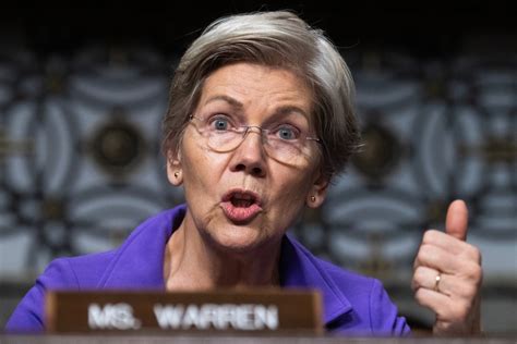Lawmakers request review of two defense industry acquisitions.